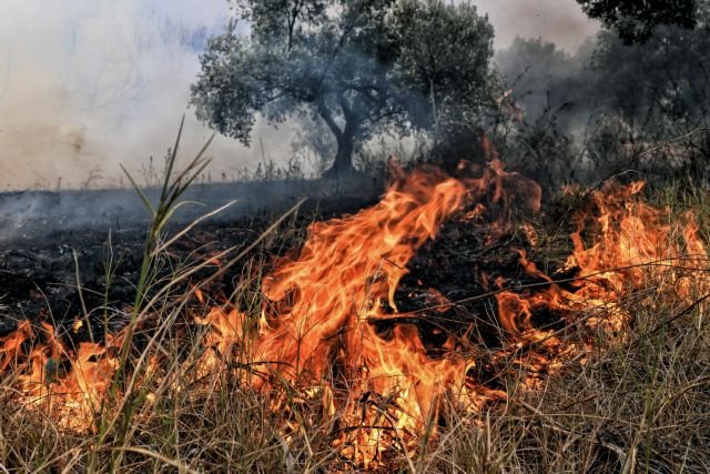 Καστοριά: Αυτόφωρη σύλληψη για πυρκαγιά στην Μηλίτσα