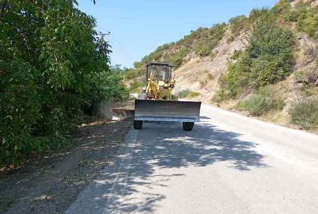 SITE-Diamorfosi-tafron