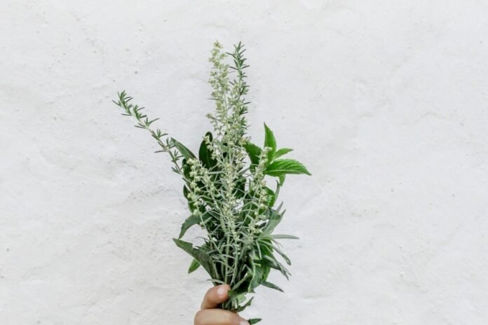 nordwood-themes-FnOoRU-PYio-unsplash