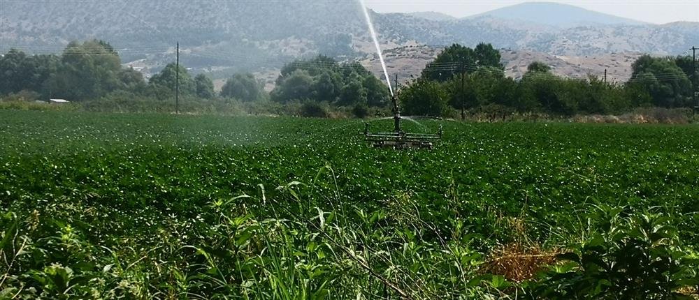 Κλιματική αλλαγή: Πως επηρεάζει την παραγωγικότητα των εργαζομένων