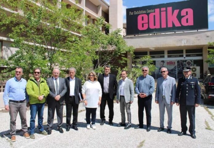 edika-768x532