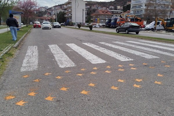 Διαβάσεις πτηνών στη Λ. Κύκνων
