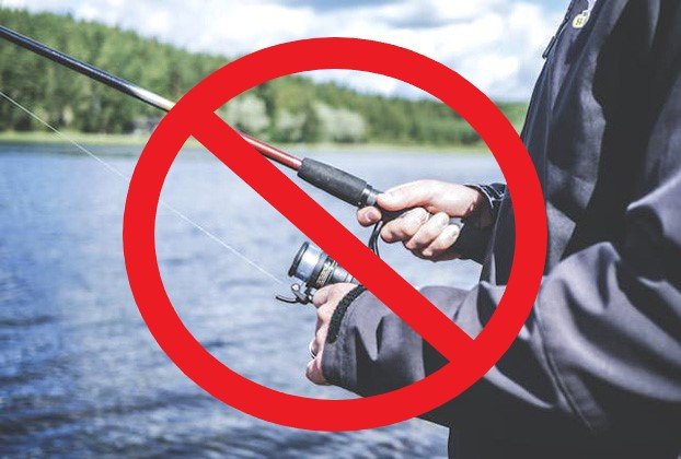 site-stop-fishing