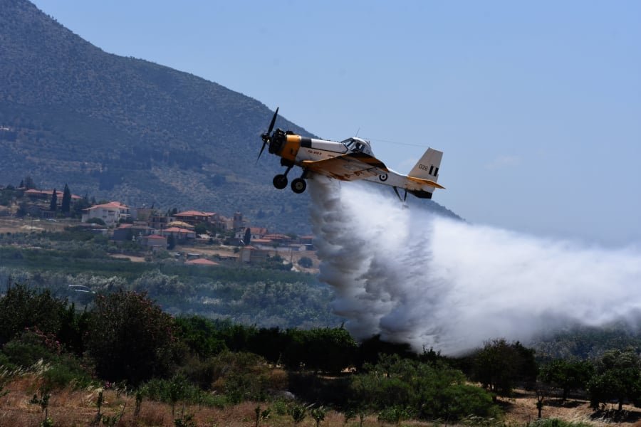 Γρεβενά: Φωτιά στον εθνικό δρυμό της Βάλια Κάλντα