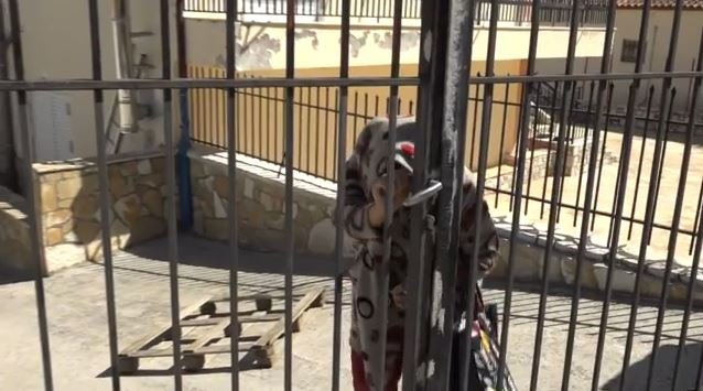 Θρίλερ με τη 92χρονη στη Βοιωτία: Έπαιρνε 4 επιδοτήσεις και 3.000 ευρώ μετά τον θάνατό της – Νέες αποκαλύψεις