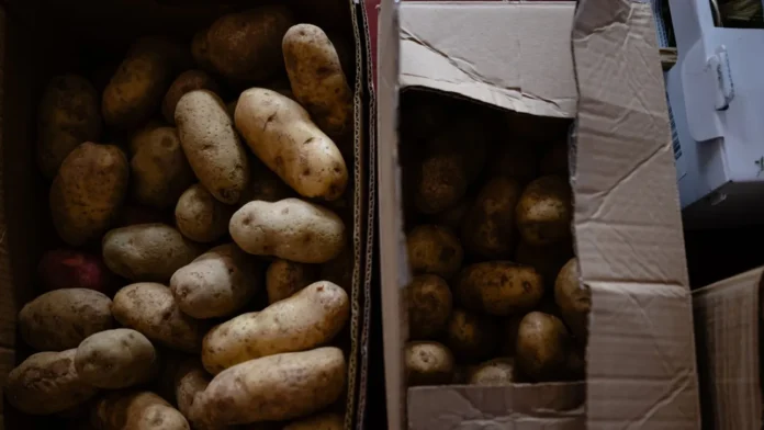 3d7f0f69-potato (1)