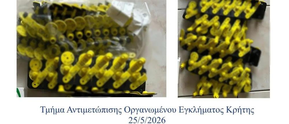 Κρήτη – ΟΠΕΚΕΠΕ: Πώς οι δύο λογιστές έστησαν την απάτη με κέρδη 3 εκατ. ευρώ (εικόνες)