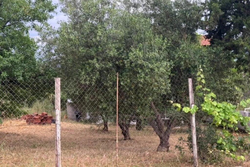 Οικογενειακή τραγωδία στη Θεσσαλονίκη: Ο 30χρονος σκότωσε με κατσαβίδι τον 67χρονο πατέρα του