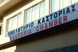 Διαδικτυακή Ενημερωτική Εκδήλωση διοργανώνουν τα Επιμελητήρια Δυτ. Μακεδονίας